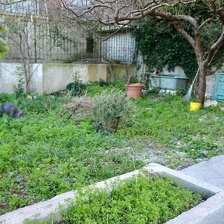 Διαμέρισμα San Martino Relax Garden *